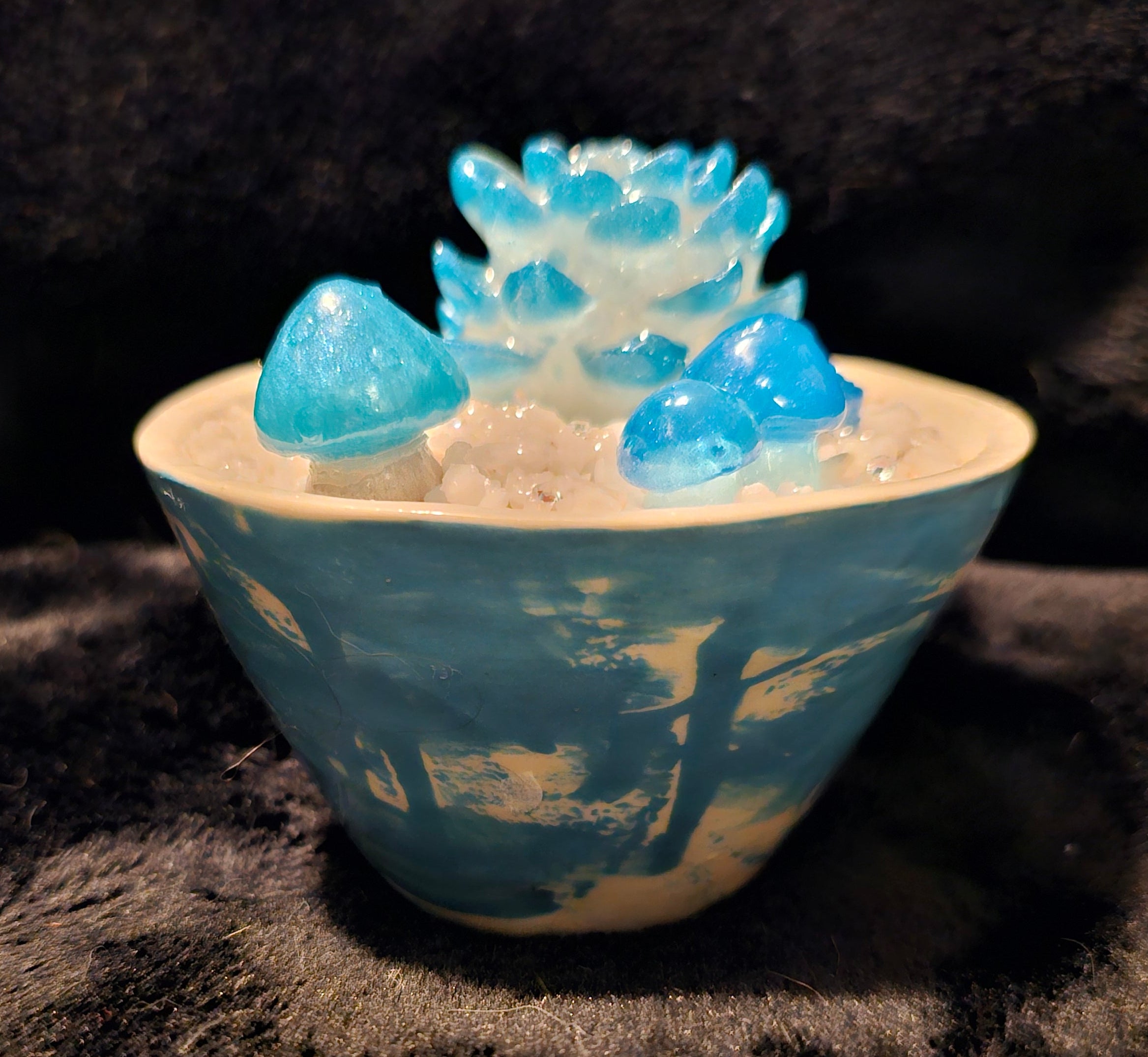 Light Blue Medium Succulent (5 plant)