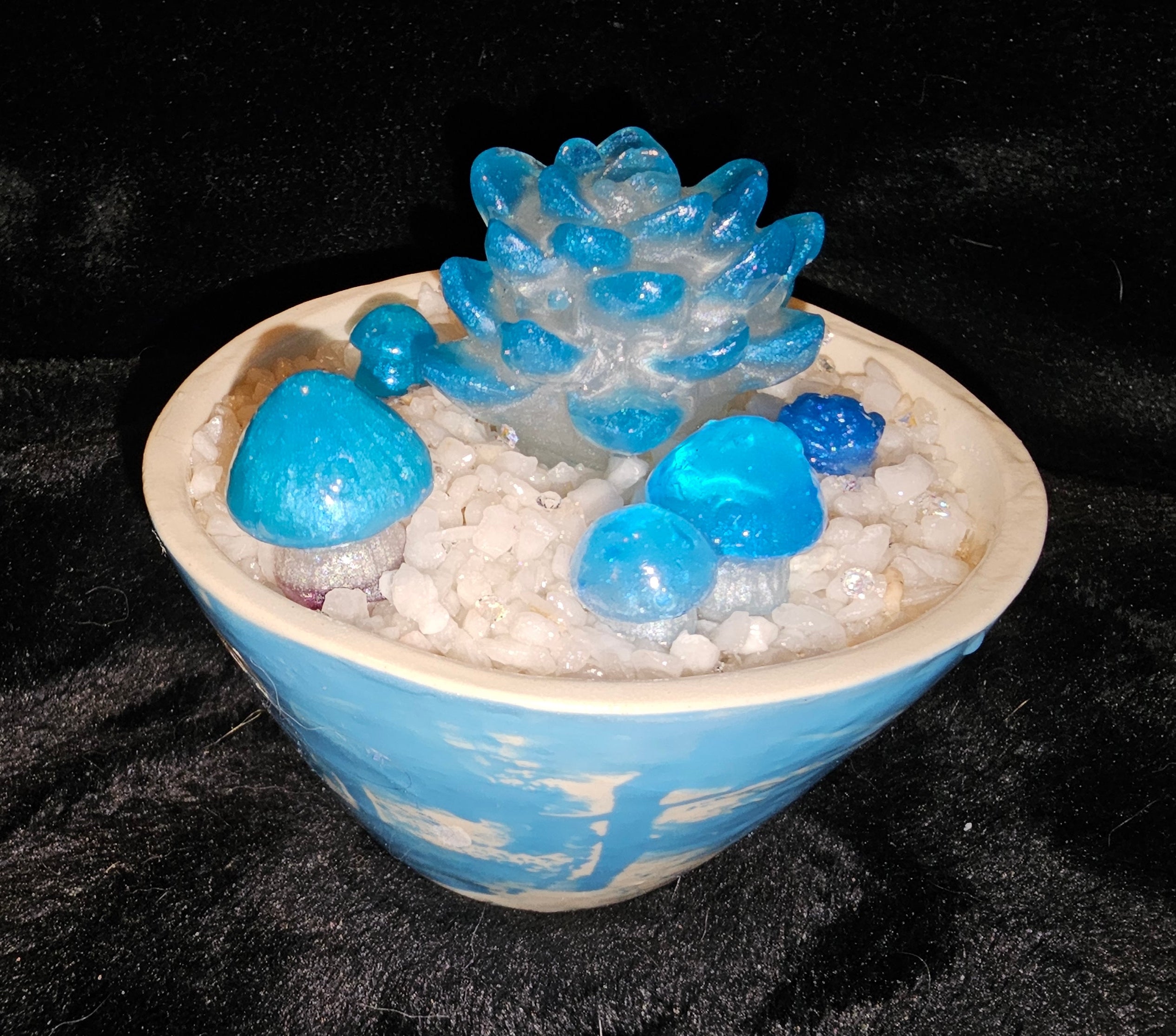 Light Blue Medium Succulent (5 plant)