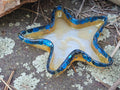 Epoxy Resin Irregular Star Dish-yellow and blue